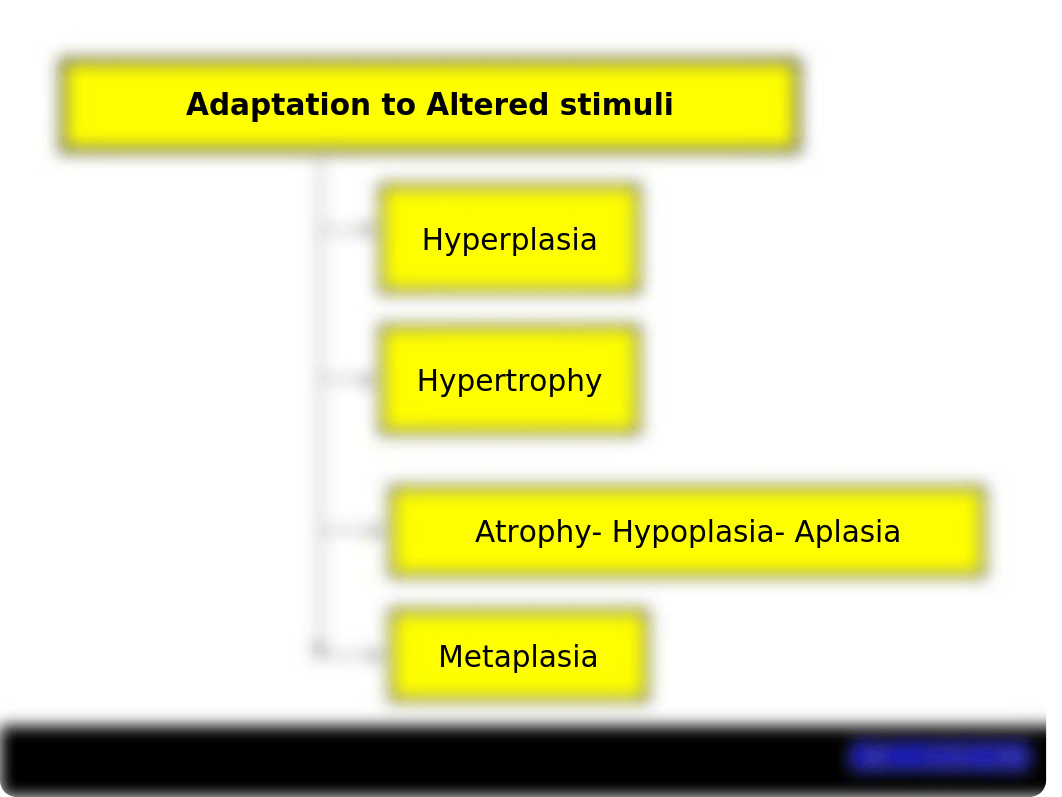 Chapter 1- Cellular Adaption_dbqwyj1pd81_page5