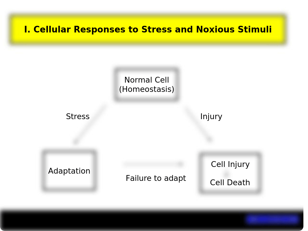 Chapter 1- Cellular Adaption_dbqwyj1pd81_page3