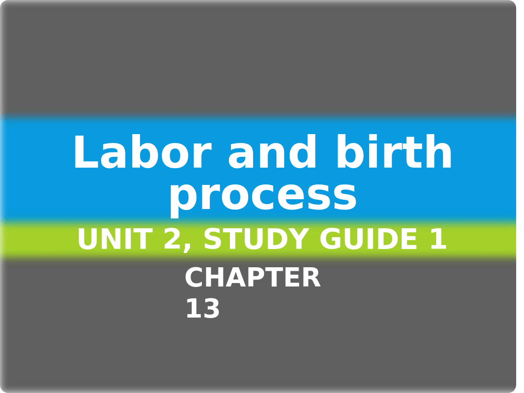 unit 2 pp1 labor and birth_dbr43mlmufg_page1