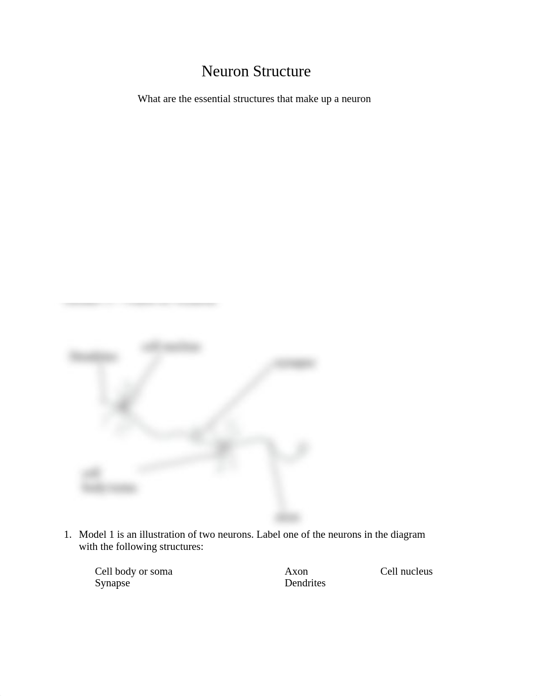 POGIL_Neuron_Structure__dbrbj3ojvzp_page1