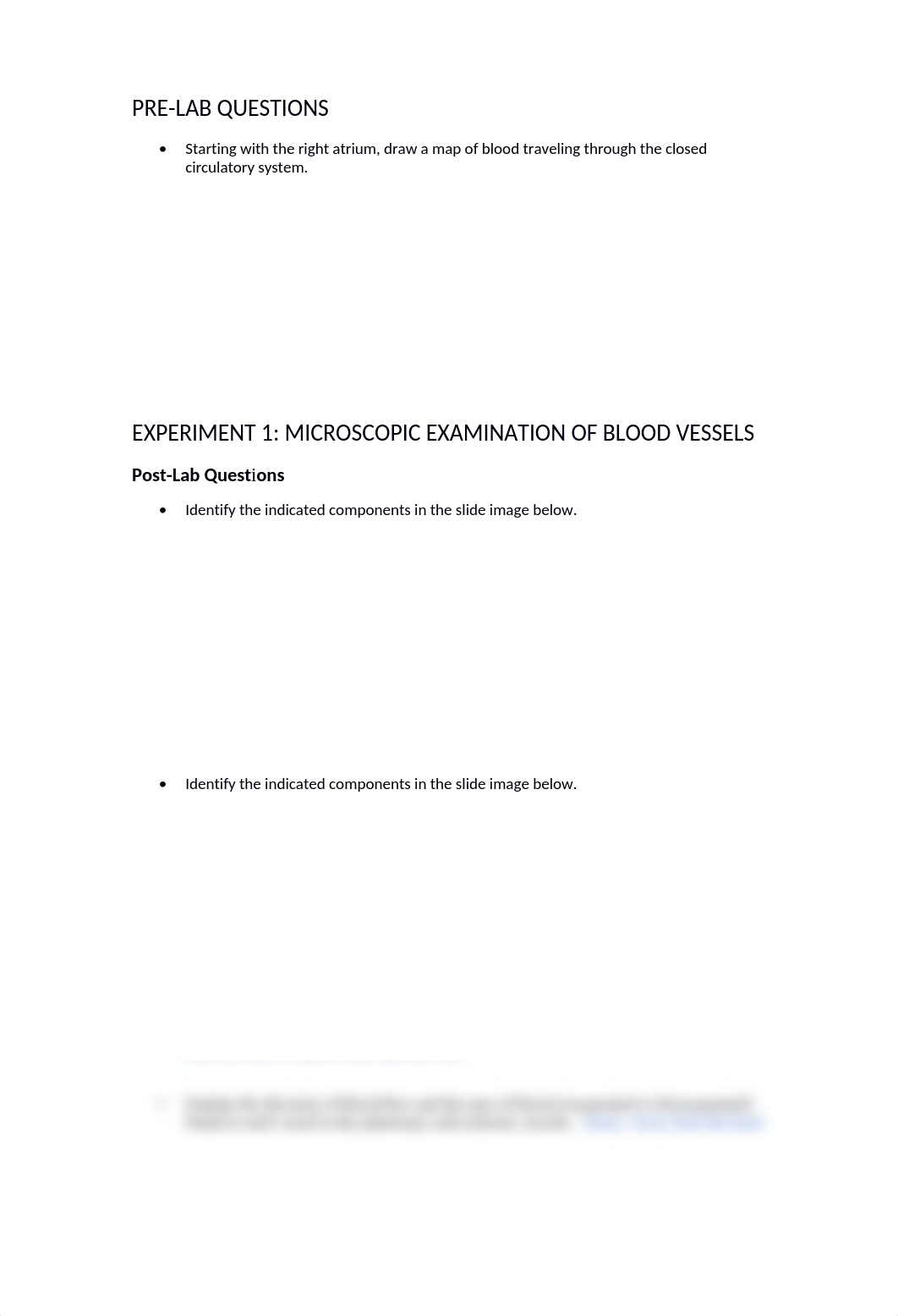 AP_5045_L11_Circulatory unfinished.docx_dbrcs0qquq8_page1