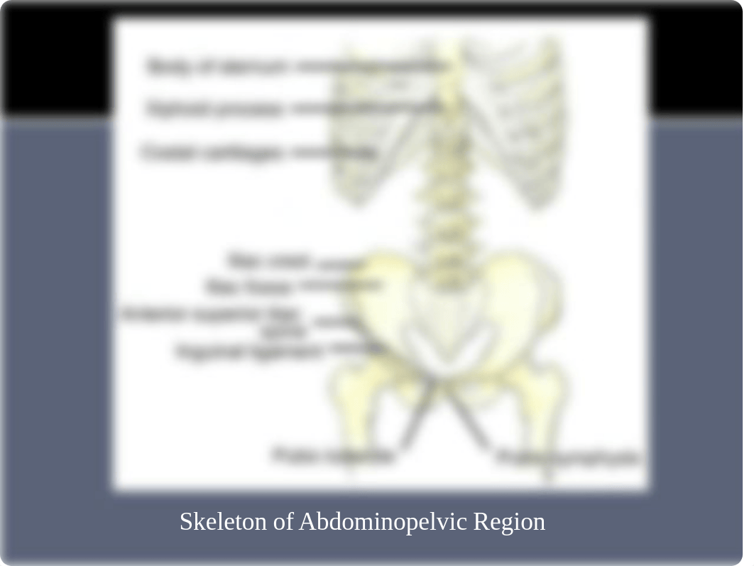 Lecture 13 - abdominal wall_dbrdci9494y_page2