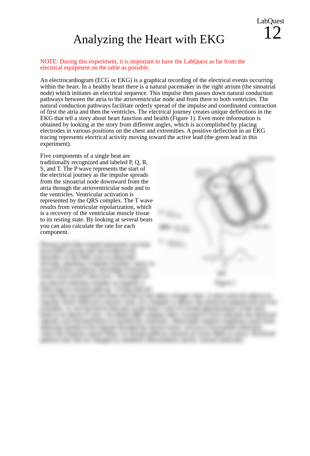 12 Analyzing Heart EKG LQ (2).doc_dbrn9fst873_page1