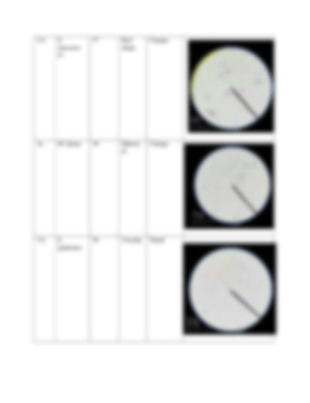 Simple & Differential Staining Techniques, Answer Sheet .docx_dbroabhypgy_page4