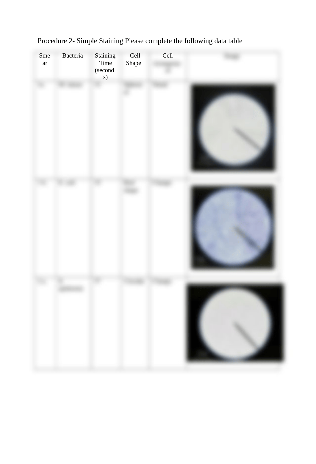 Simple & Differential Staining Techniques, Answer Sheet .docx_dbroabhypgy_page3