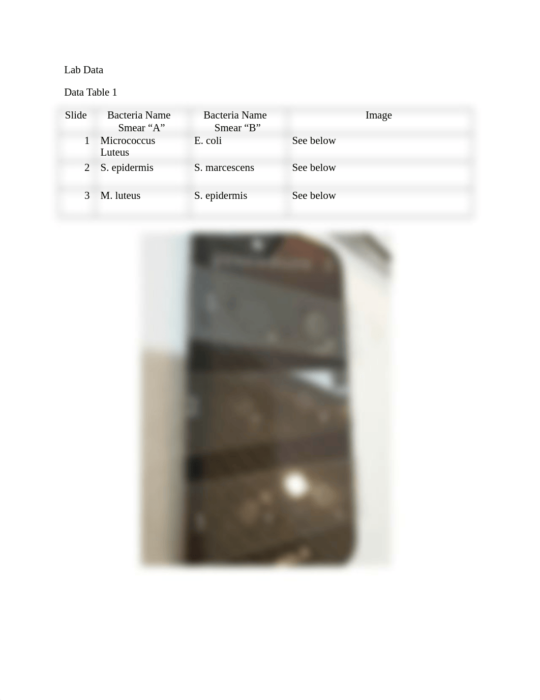 Simple & Differential Staining Techniques, Answer Sheet .docx_dbroabhypgy_page2