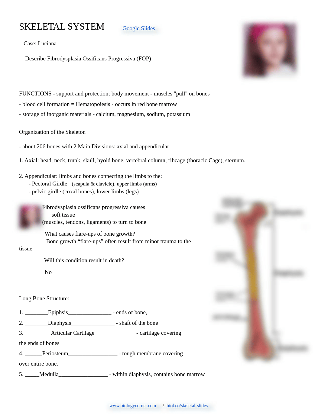 _skeletal-system notes (new).pdf_dbrvtg65g8w_page1