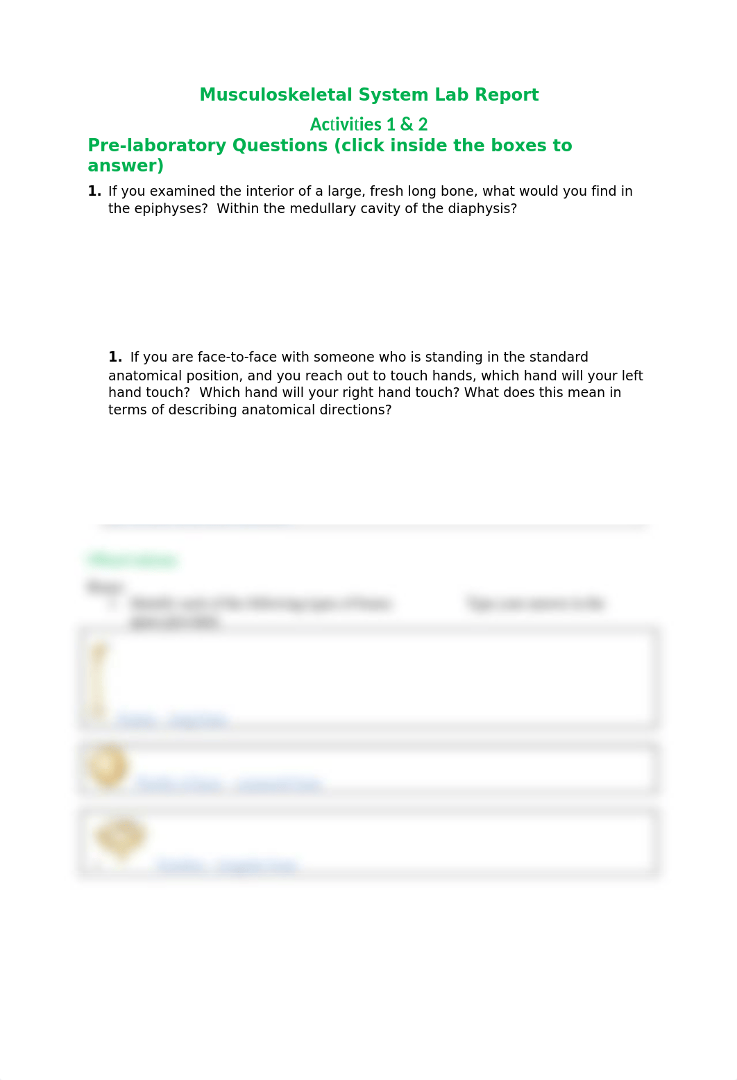 Musculoskeletal System Lab Report Activities 1 & 2.docx_dbry2eaasi8_page1