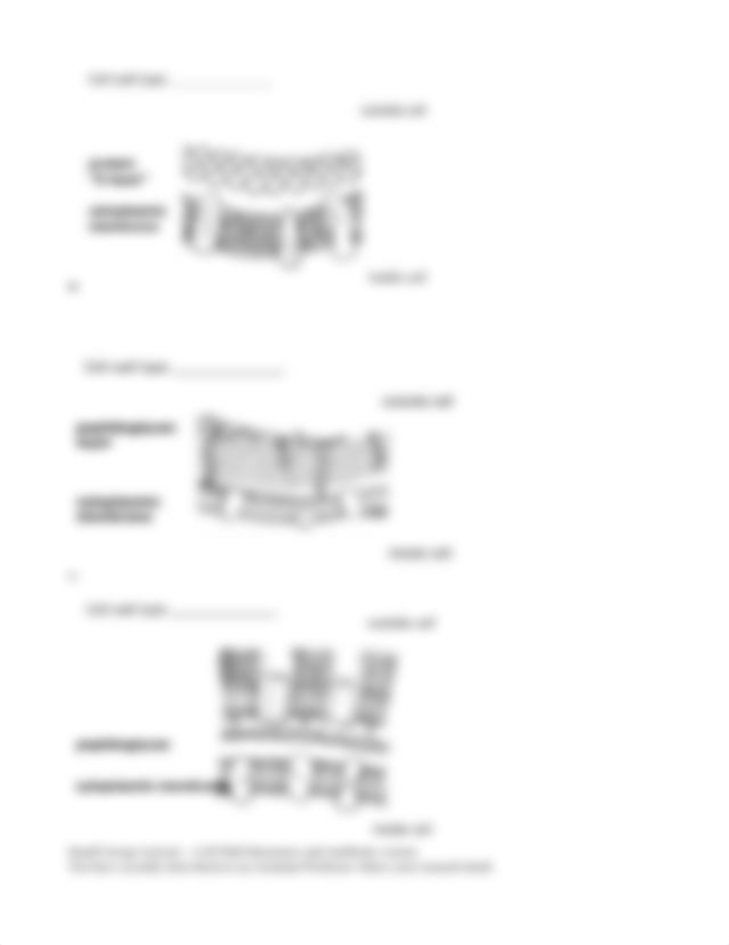 Chapter 9 Antibiotics and Cell Wall Structure Student Fall 2020.docx_dbs0i4e0cfw_page2