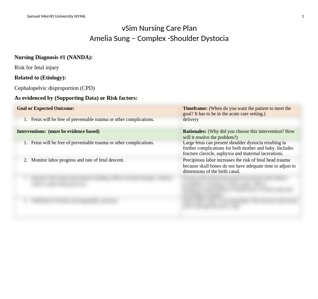 vSIM_Amelia Sung_Careplan.docx_dbs11hlse0j_page1