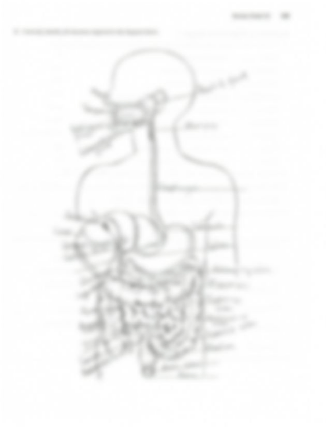 Lab025_dbs6gteic0o_page3