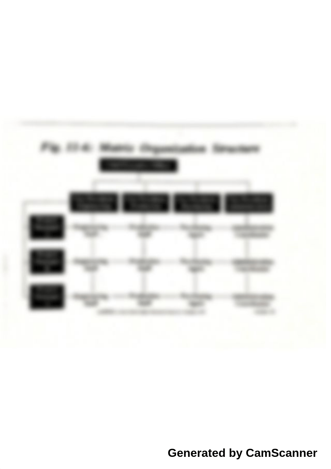 World of Business Matrix Organization Structure_dbs7v2zai4x_page1