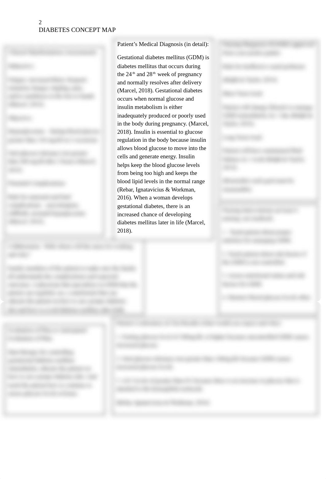 Diabetes concept map .docx_dbsbnhk29hq_page2