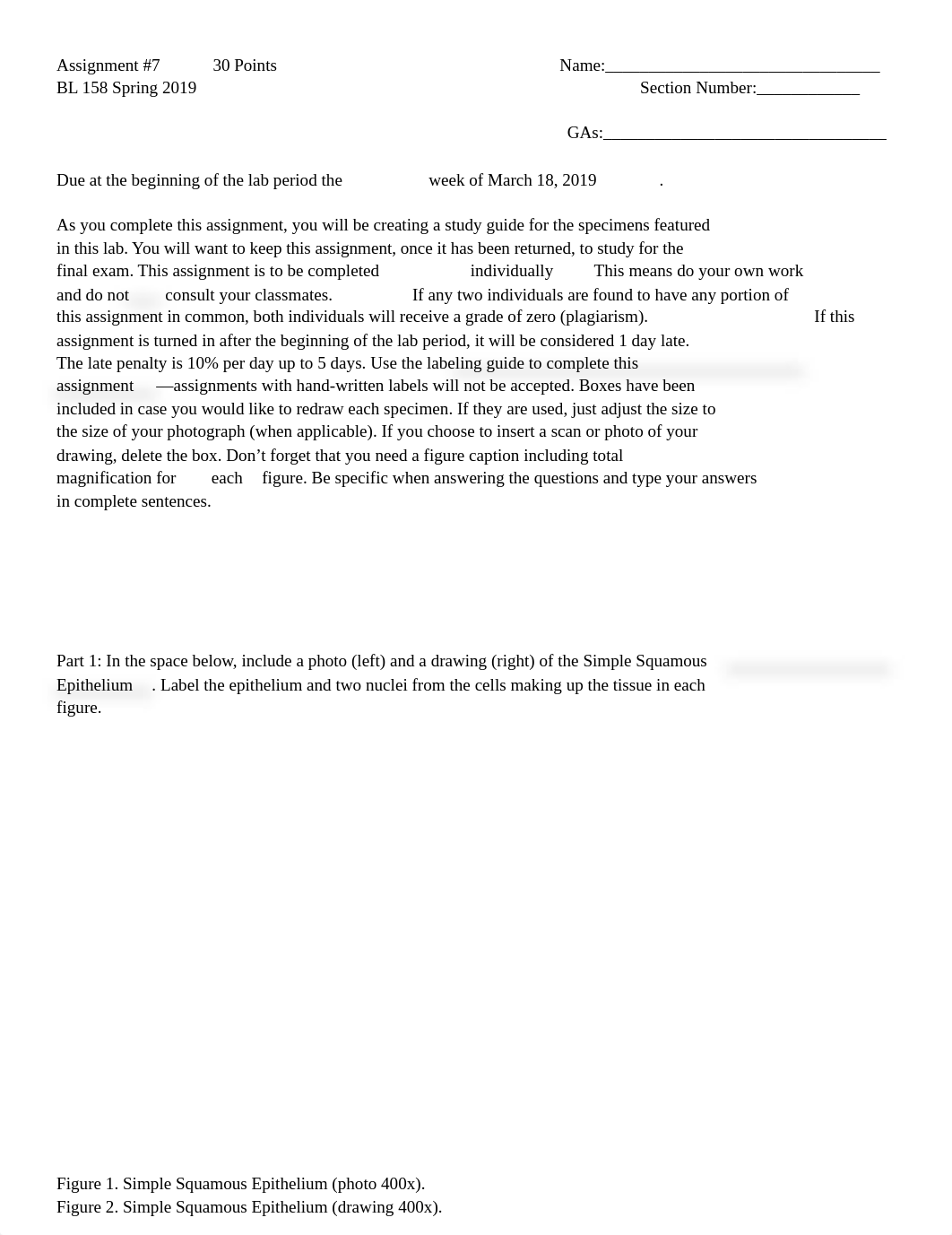 Assignment 7-1.docx_dbsf0jvoaox_page1