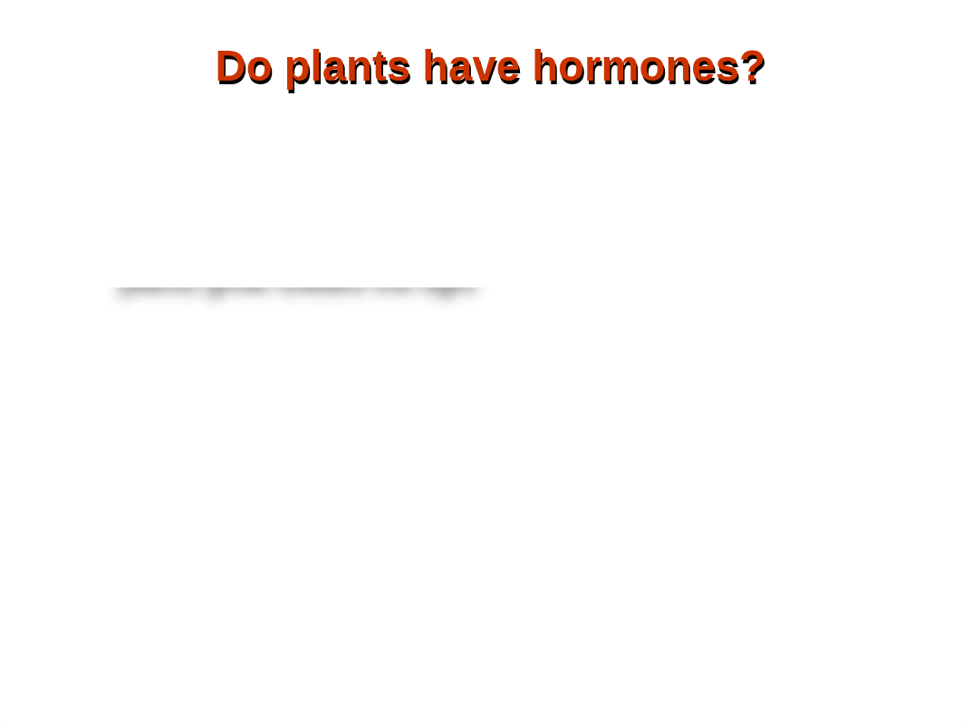 Plant Hormones lecture Bb.ppt_dbsnvtnpxd4_page4