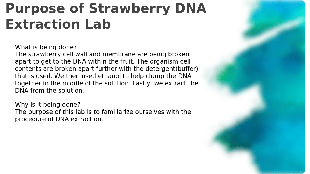 Strawberry DNA Extraction Lab.pptx_dbsrggbyrqp_page3