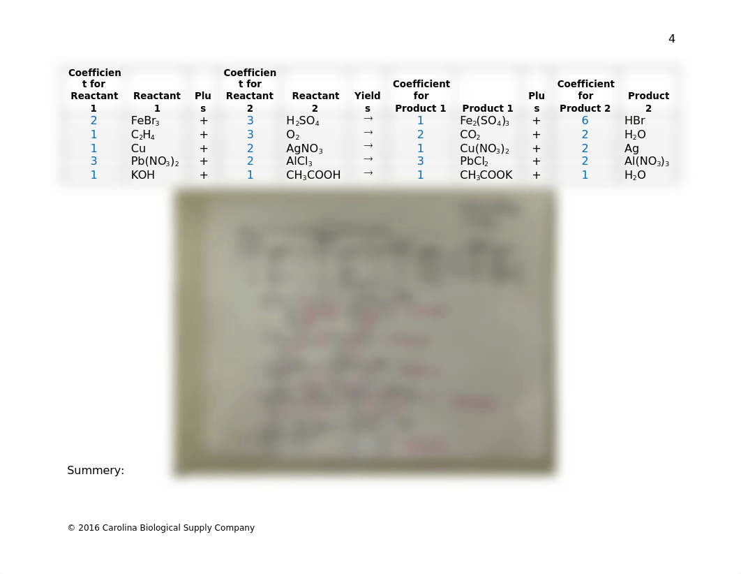 Lab 3 - Balancing Chemical Equations  (1).docx_dbswspspsa6_page5