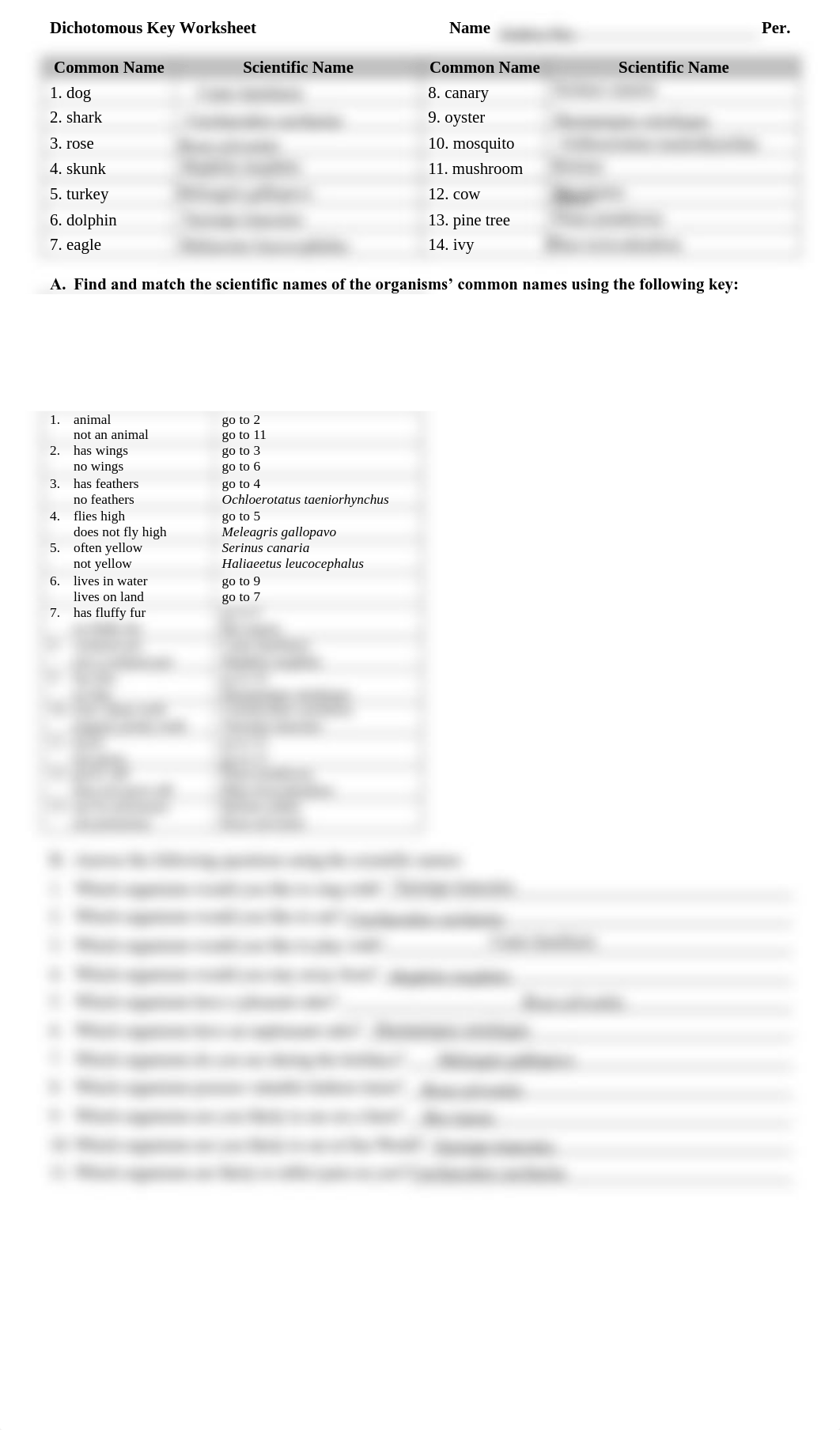 Kami Export  - DichotKeyPracticeWS (2).pdf_dbt2dvqmxtw_page1