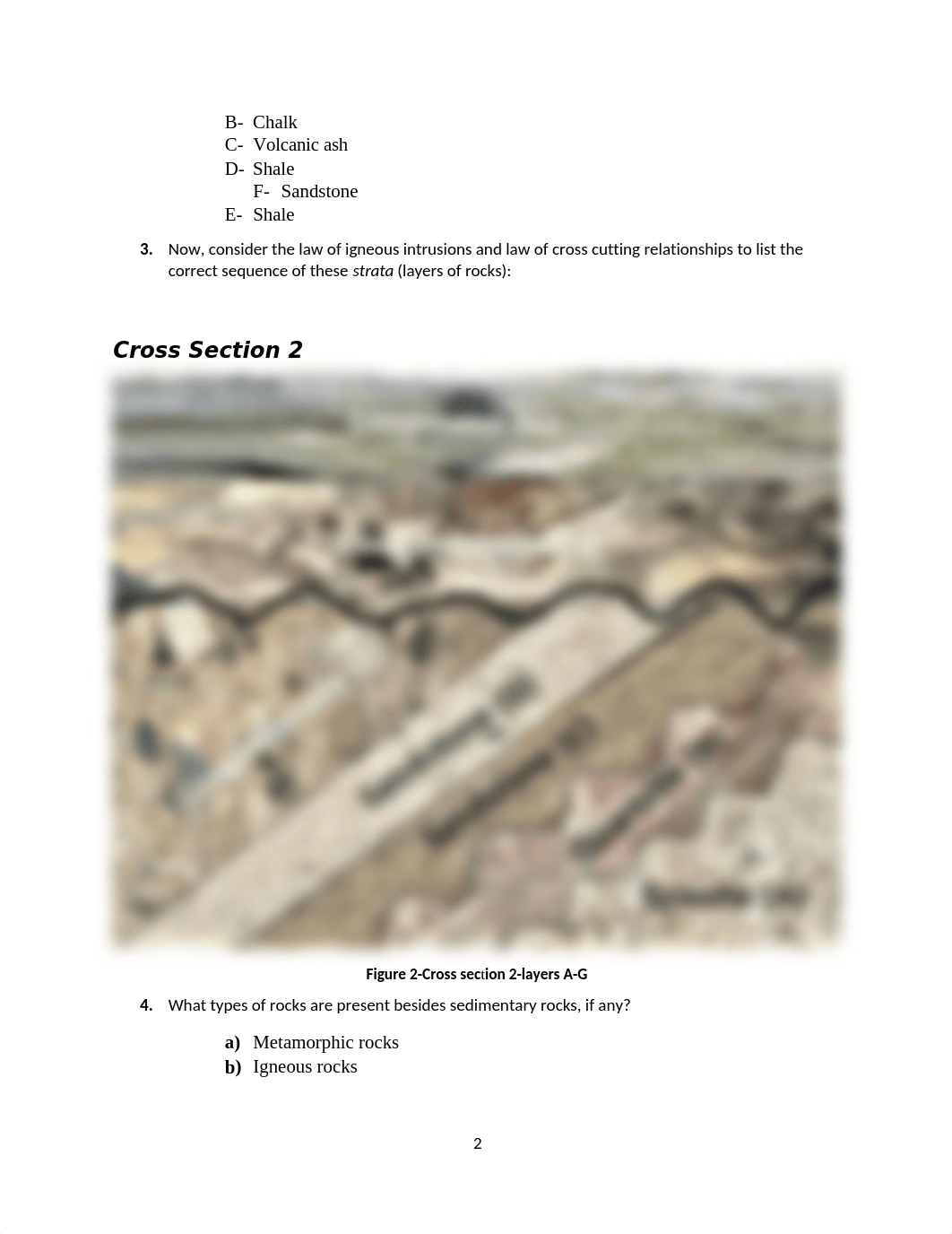 Geology (3375048PB) (2).docx_dbt2wzpwxbh_page2