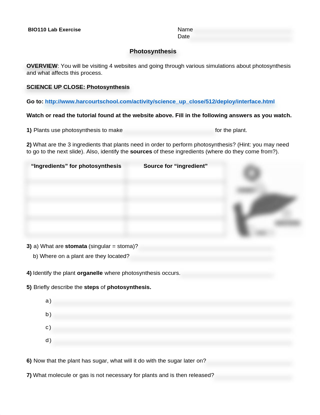 Photosynthesis Virtual Lab FA19-4.docx_dbt72wyvv6j_page1