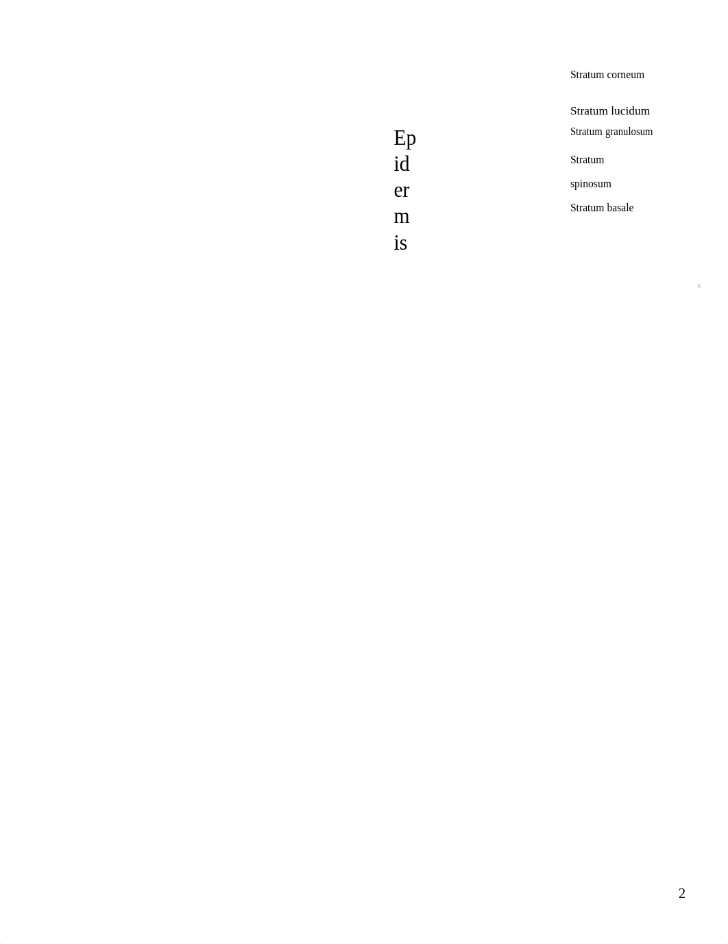 Anatomy Exam 2 Notes_dbt8to0ej45_page2