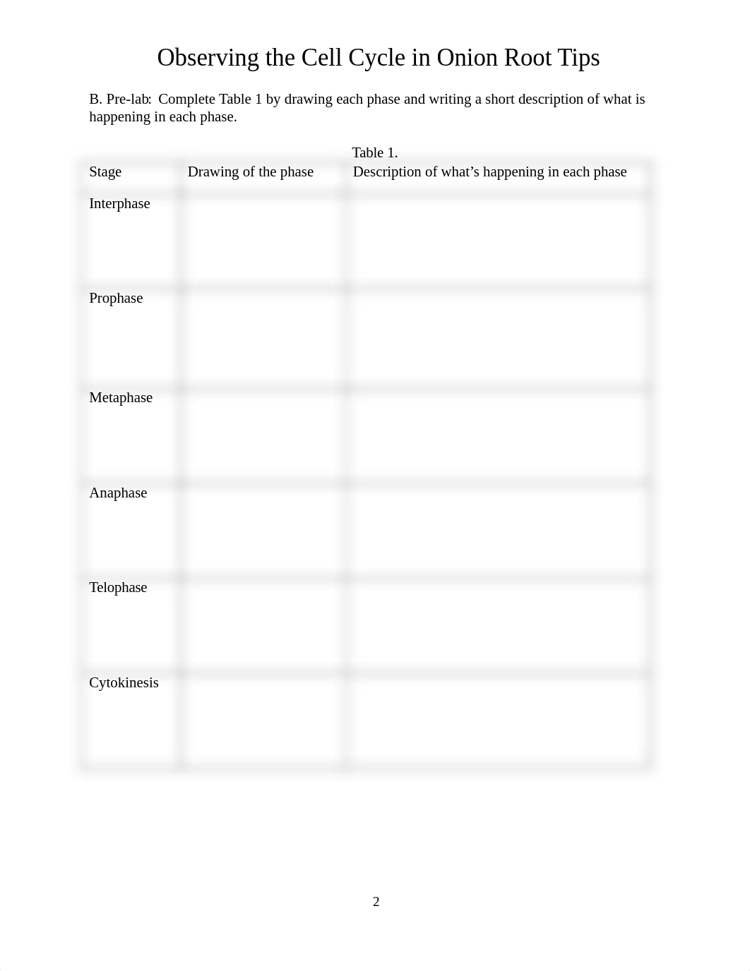 Allium Cell Cycle Worksheet MODIFIED 2022 (1).docx_dbtc5z1udkv_page2