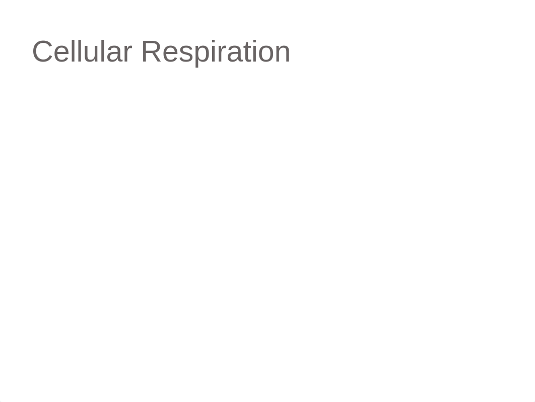 Lab 8 - Cell Respiration Spring 2015_dbtfexsxjn7_page5