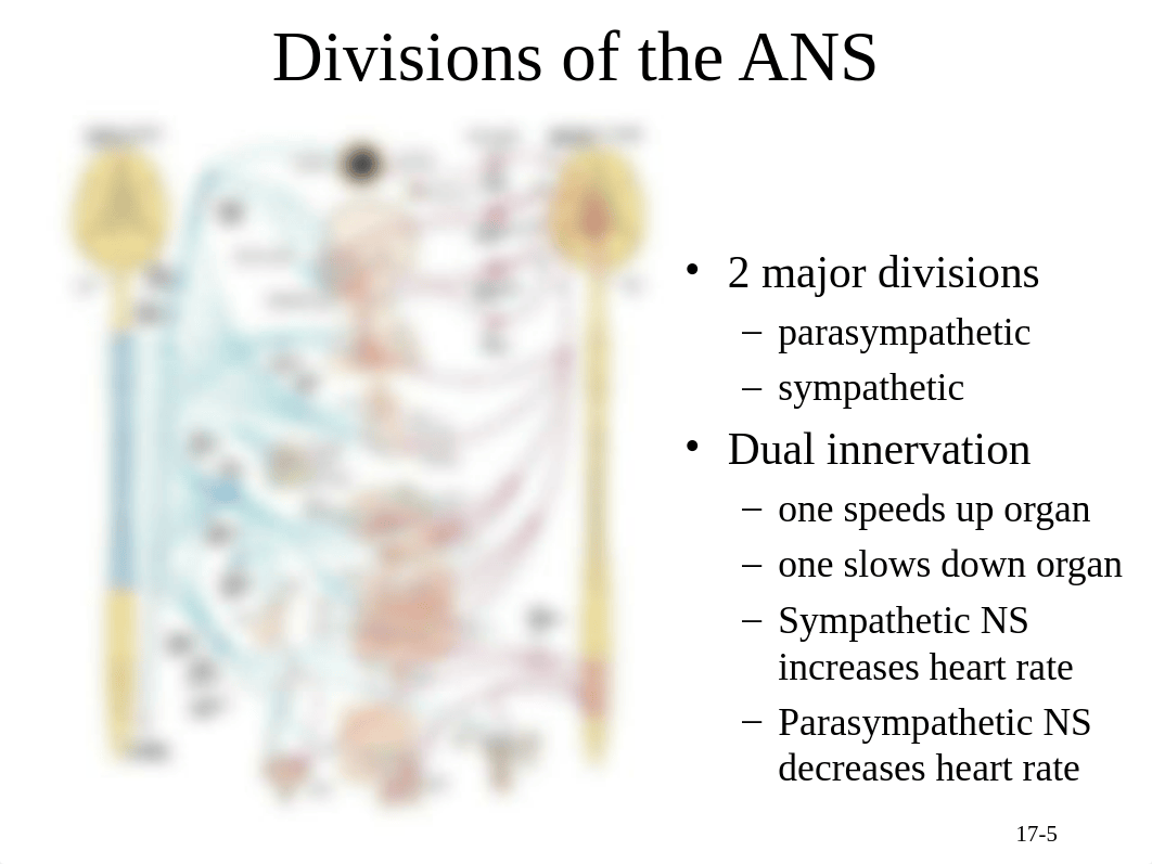 ch17ppt_dbth17e1fi4_page5