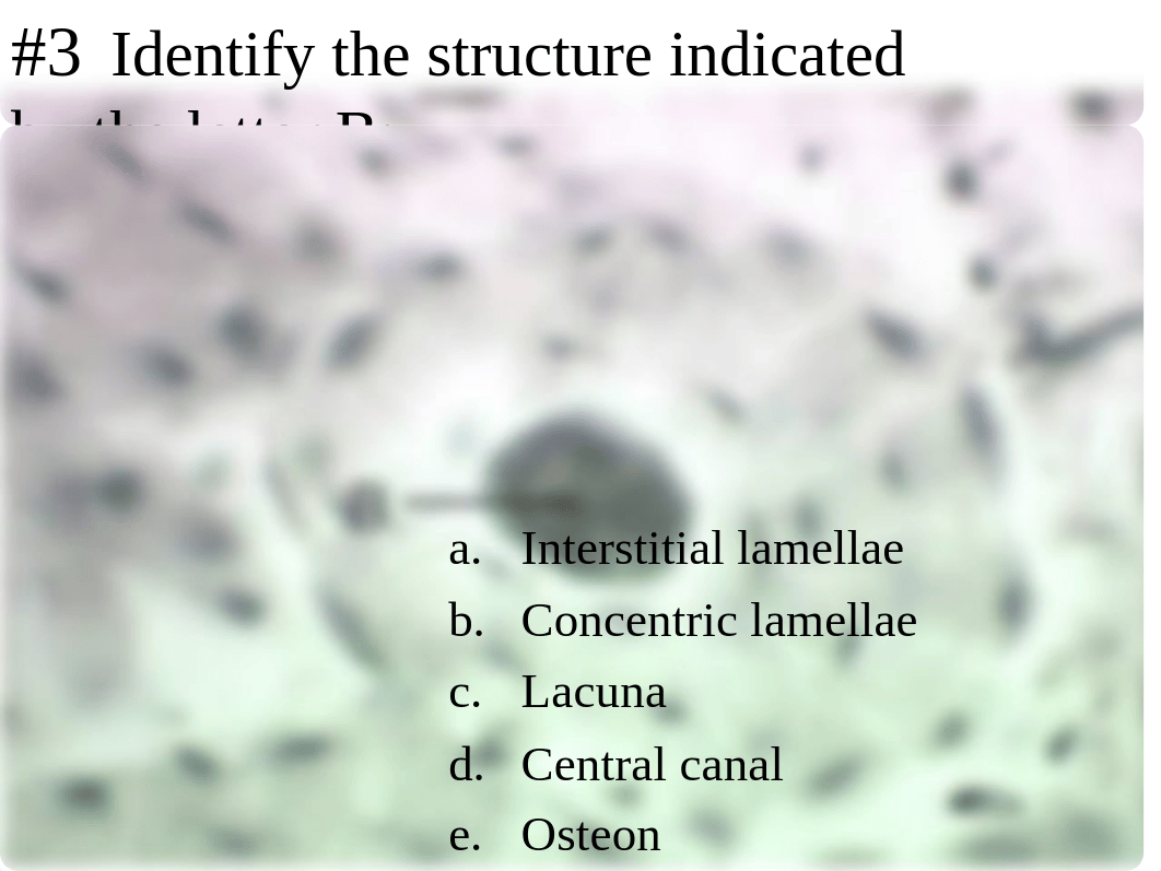 Biology_2011_Practice_Midterm_Practical_dbtr94m9no7_page5