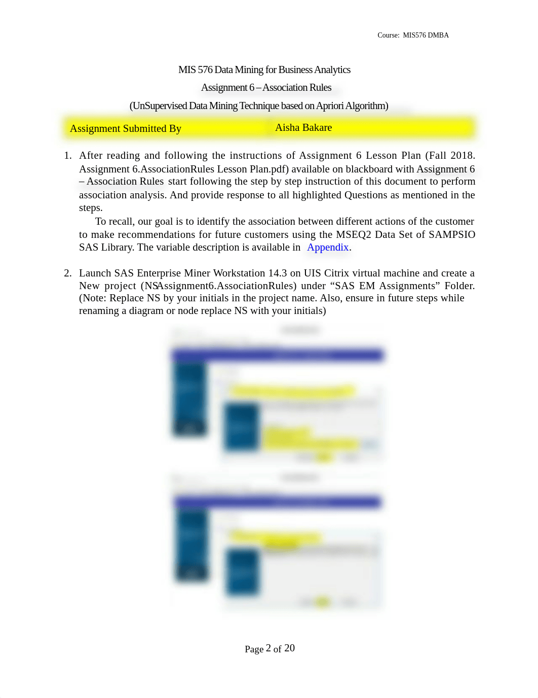 MIS576.Assignment6.AssociationRules.docx_dbtsnoi4h0r_page2