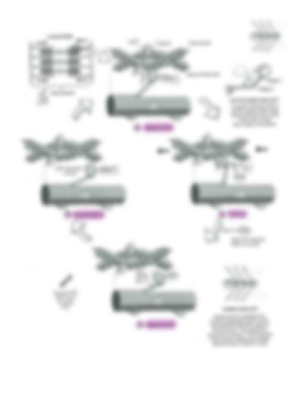 muscle contraction POGIL.docx_dbttm0f669o_page5