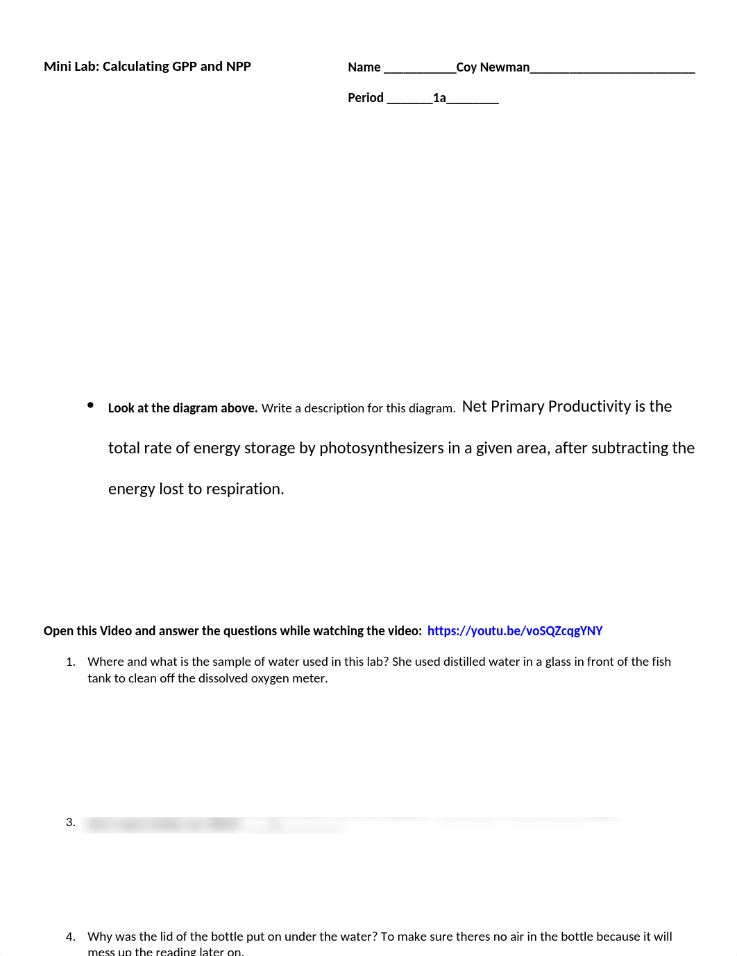 Lab_Mini Virtual Lab Calculating GPP and NPP.docx_dbtyzetian0_page1