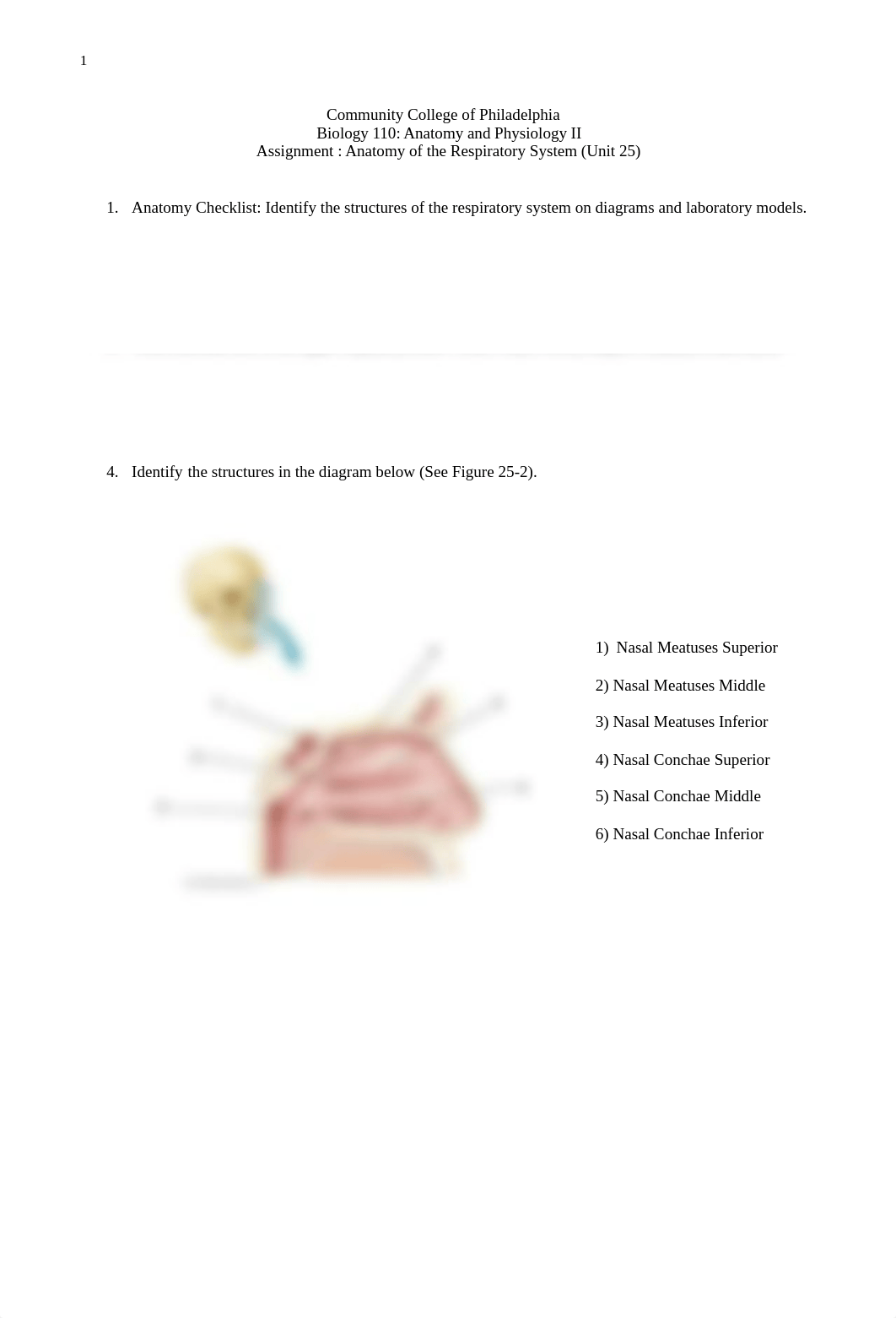 Bio 110 Anatomy of the Respiratory System comp.docx_dbu99y8ypjz_page1