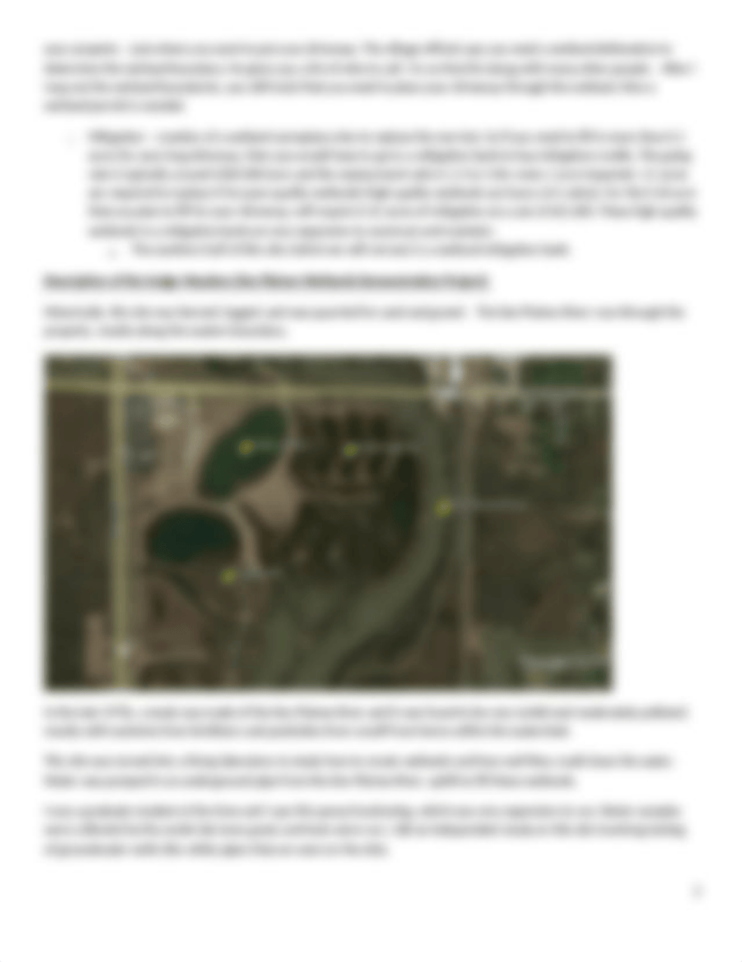 Marsh Ecosystem.docx_dbueas9gml8_page2