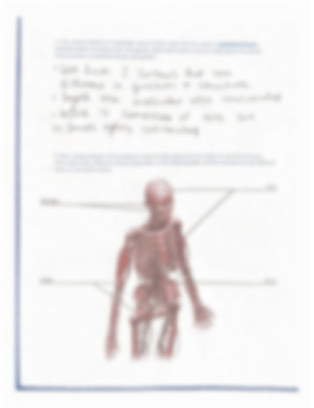 Leake_lab manual_tissues_PART 1.pdf_dbuicbspssb_page5