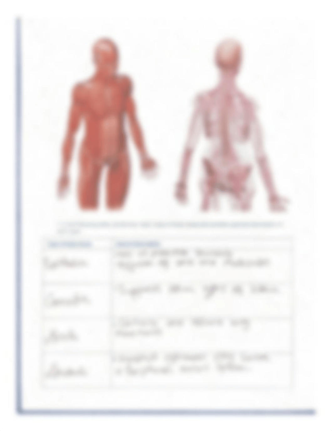 Leake_lab manual_tissues_PART 1.pdf_dbuicbspssb_page3