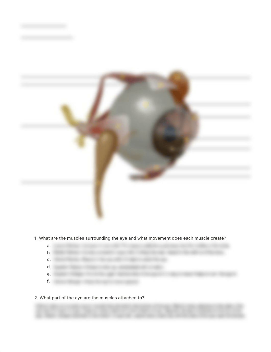 lab manual_senses eye_atlas.pdf_dbuj4byhhge_page2