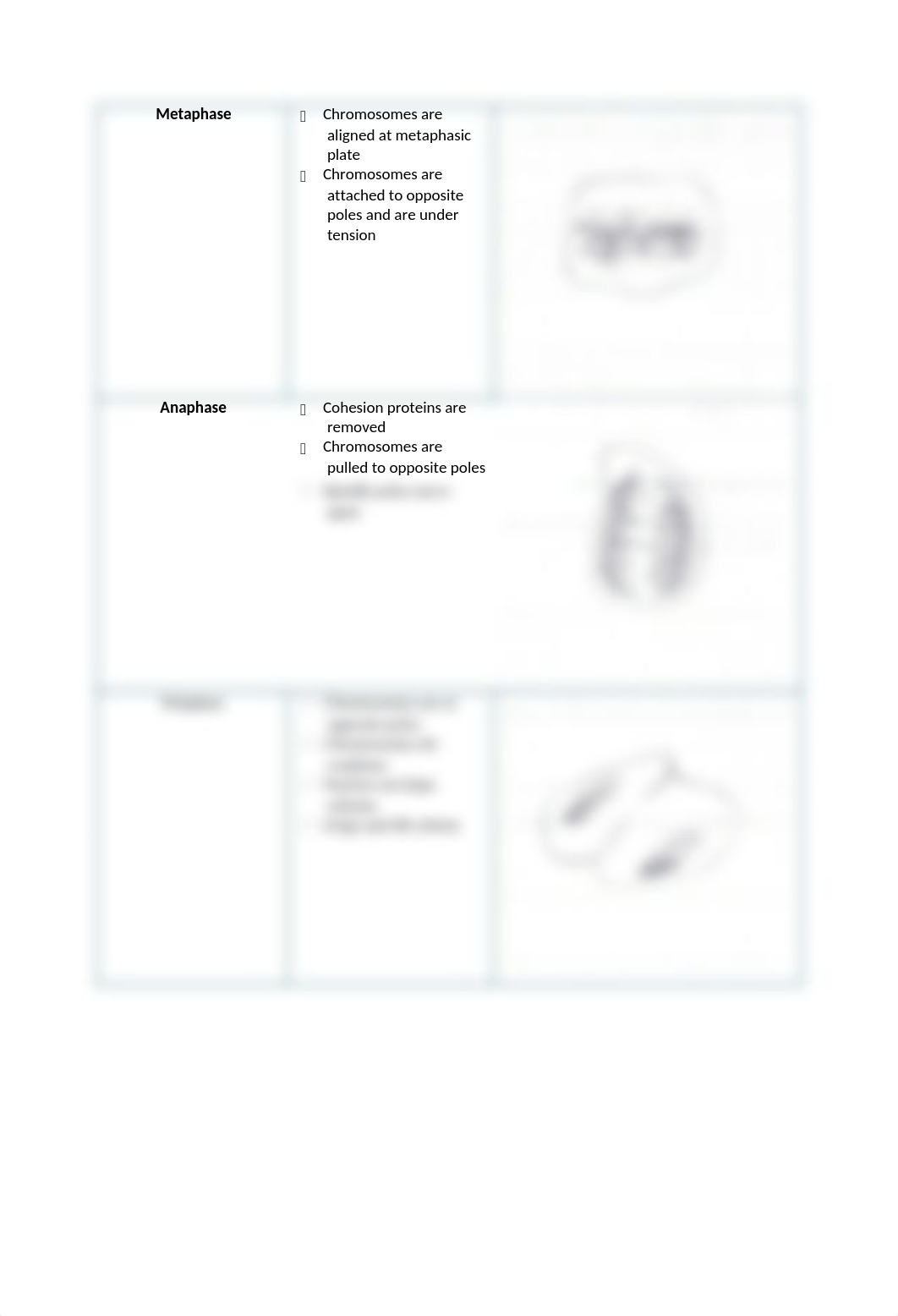 5- Mitosis Write Up_dbuvkbk6ffy_page2