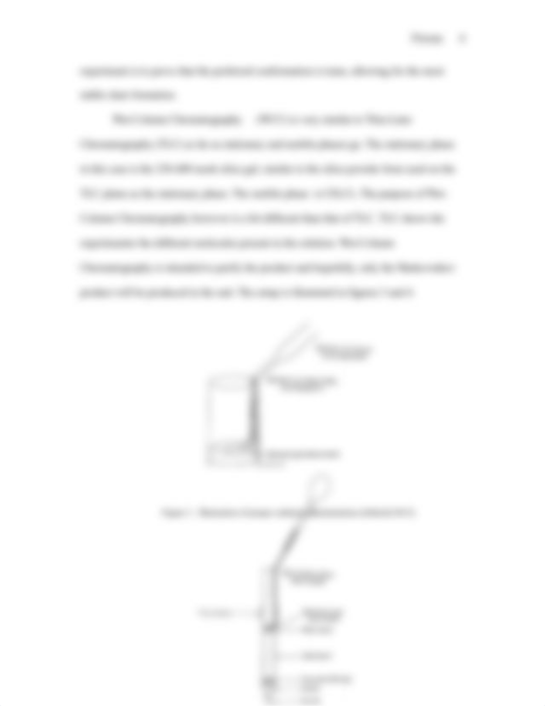 Orgo Lab Report Exp. 10.docx_dbuykjw6z52_page4