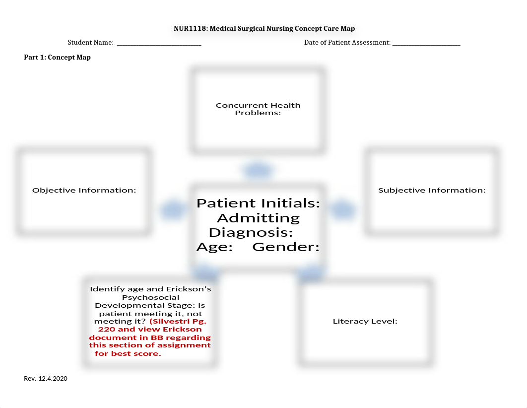 NUR1118 Medical Surgical Concept Care Map Assignment 12.4.2020(1) (1).docx_dbv2dcqnrmu_page1