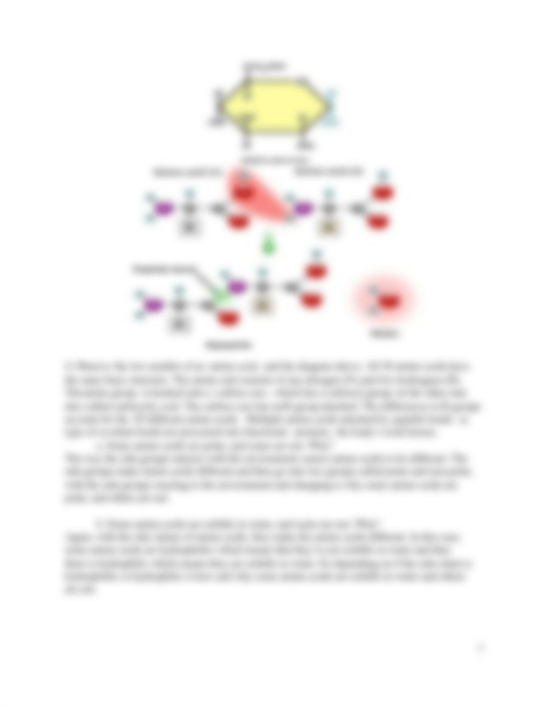 Lab 1 Biochemistry Report.docx_dbv831si7b8_page2