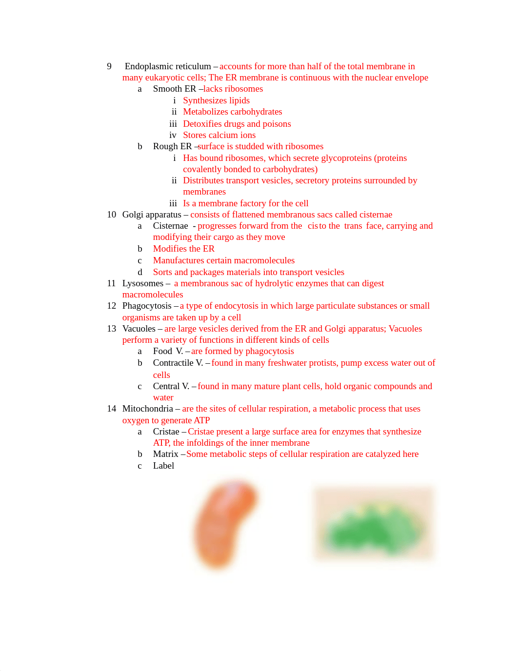 Chapter 6&7 outline.docx_dbv93e7pxla_page2