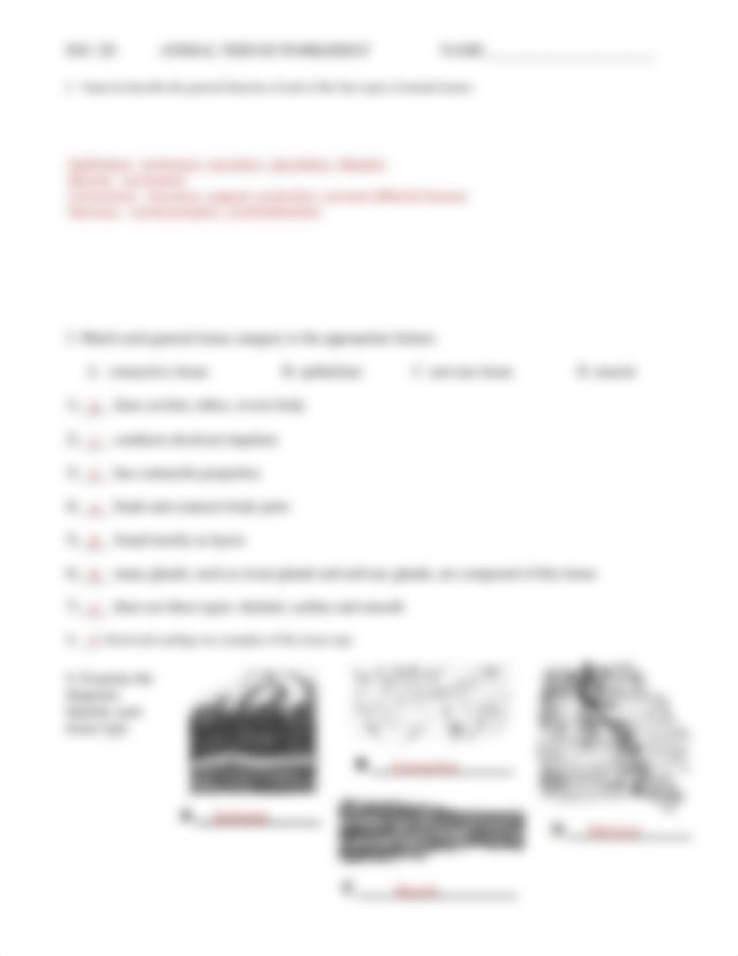 Animal_Tissues_Worksheet.pdf_dbvdgx0z65x_page2