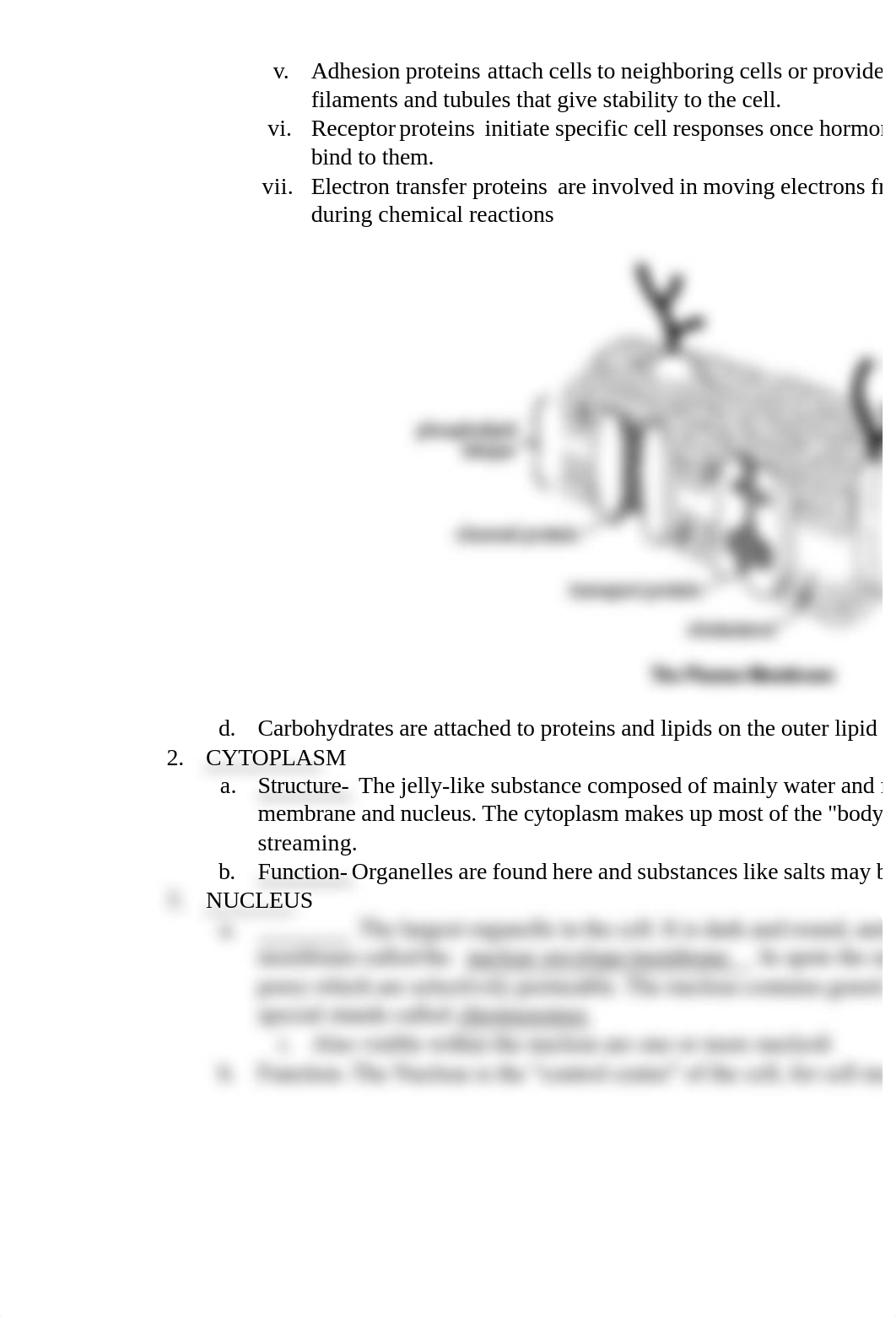 Anatomy of the Cell.pdf_dbvg3h0h2z9_page3