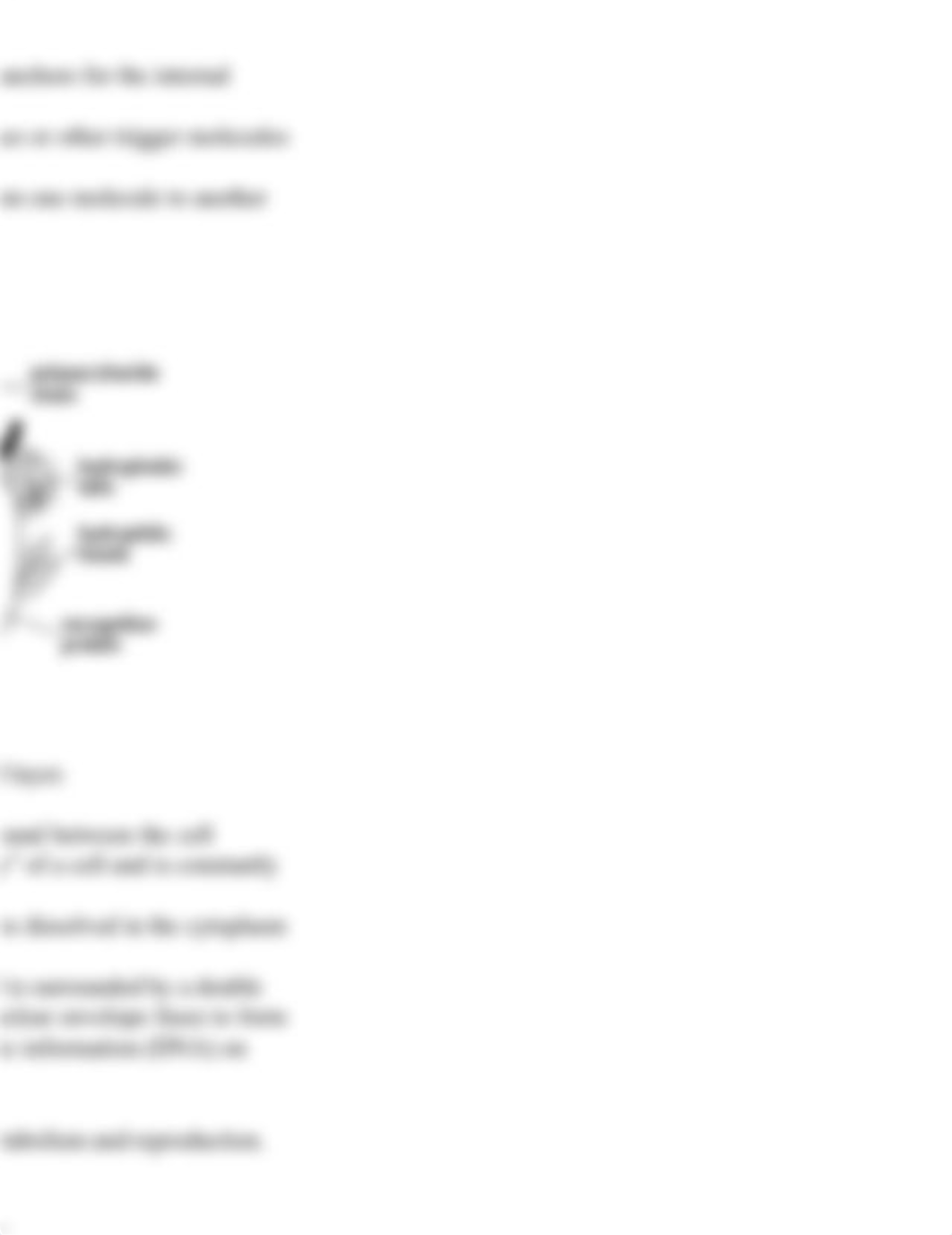 Anatomy of the Cell.pdf_dbvg3h0h2z9_page4