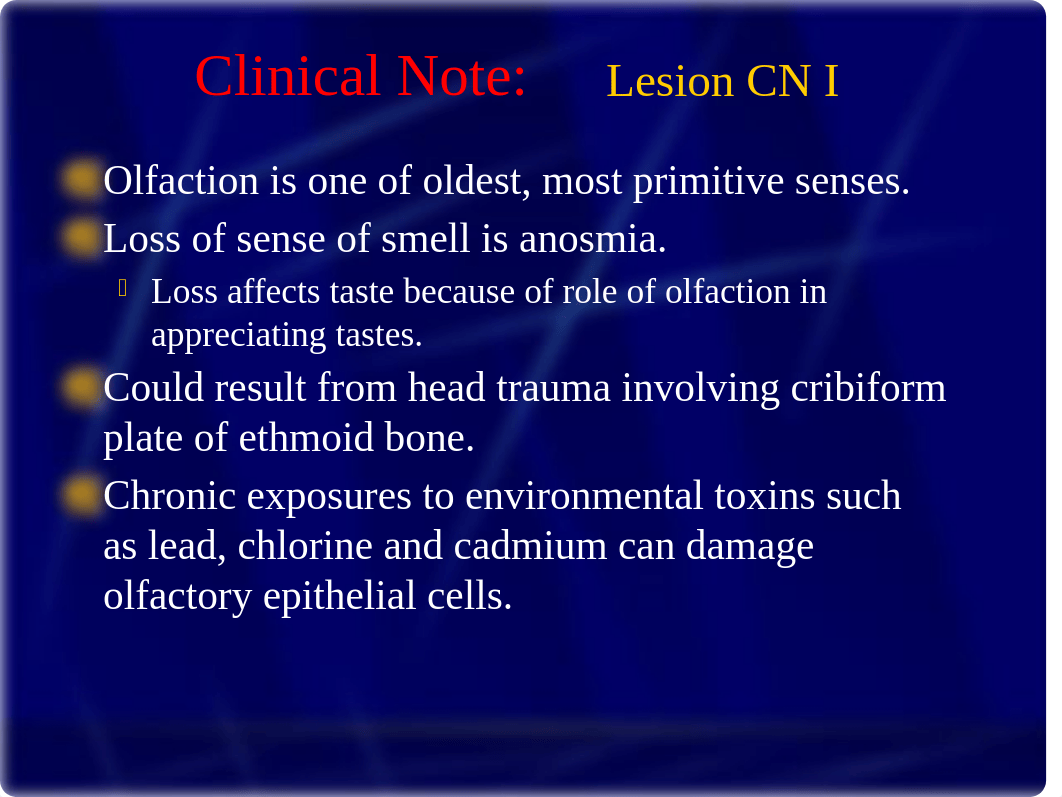 Anatomy of the Head Review 2019 (1).pptx_dbviwb0qebl_page4