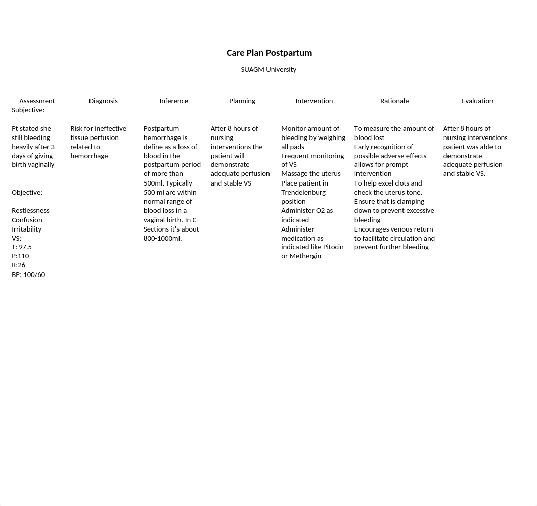 CARE PLAN  Maternidad.docx_dbvo6819zxv_page1