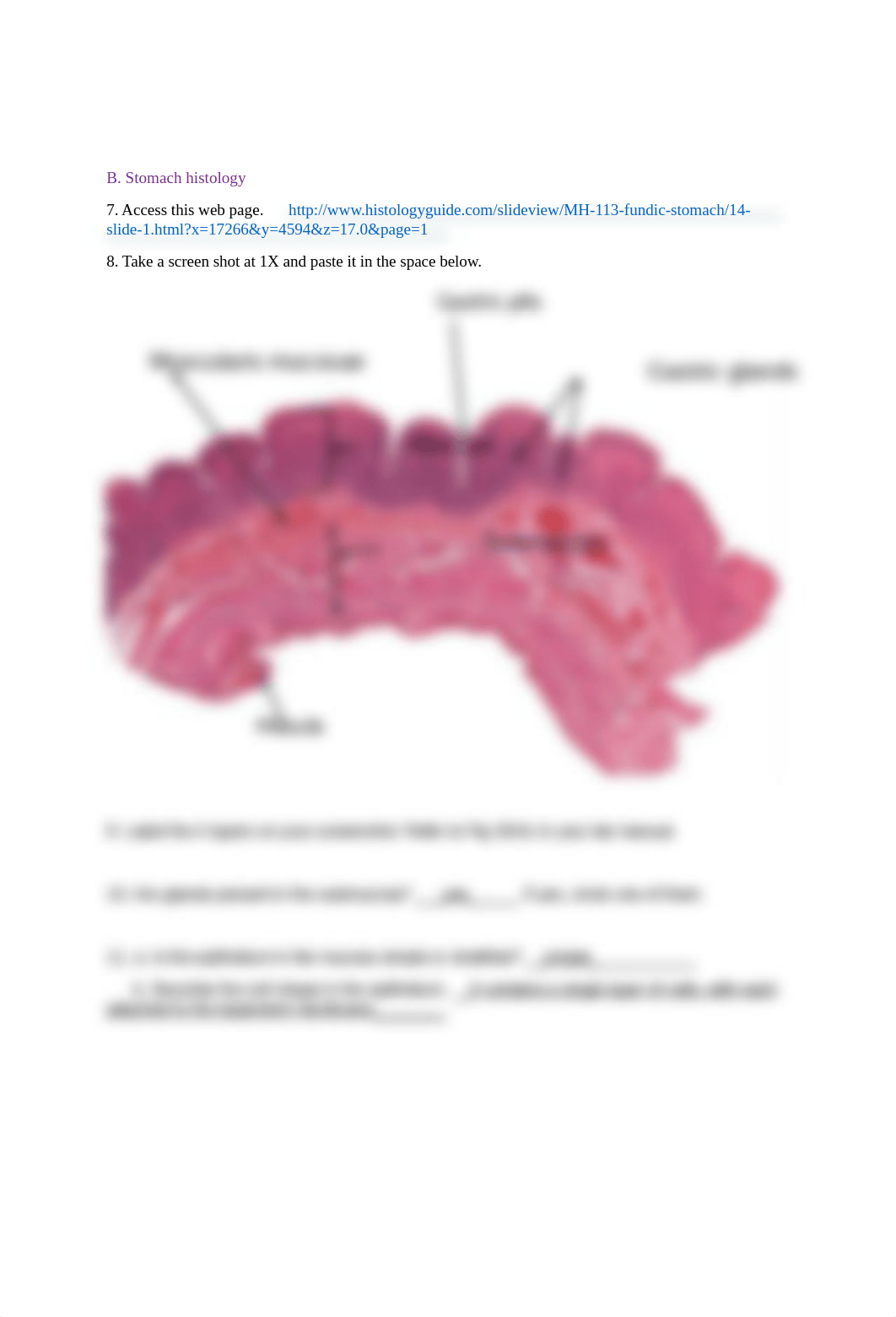 BIO-131 Digestive System Histology Lab Activity.docx_dbvrgpayjhi_page3