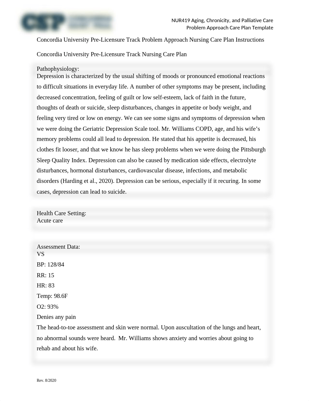 care plan depression.docx_dbvso6c86fi_page1