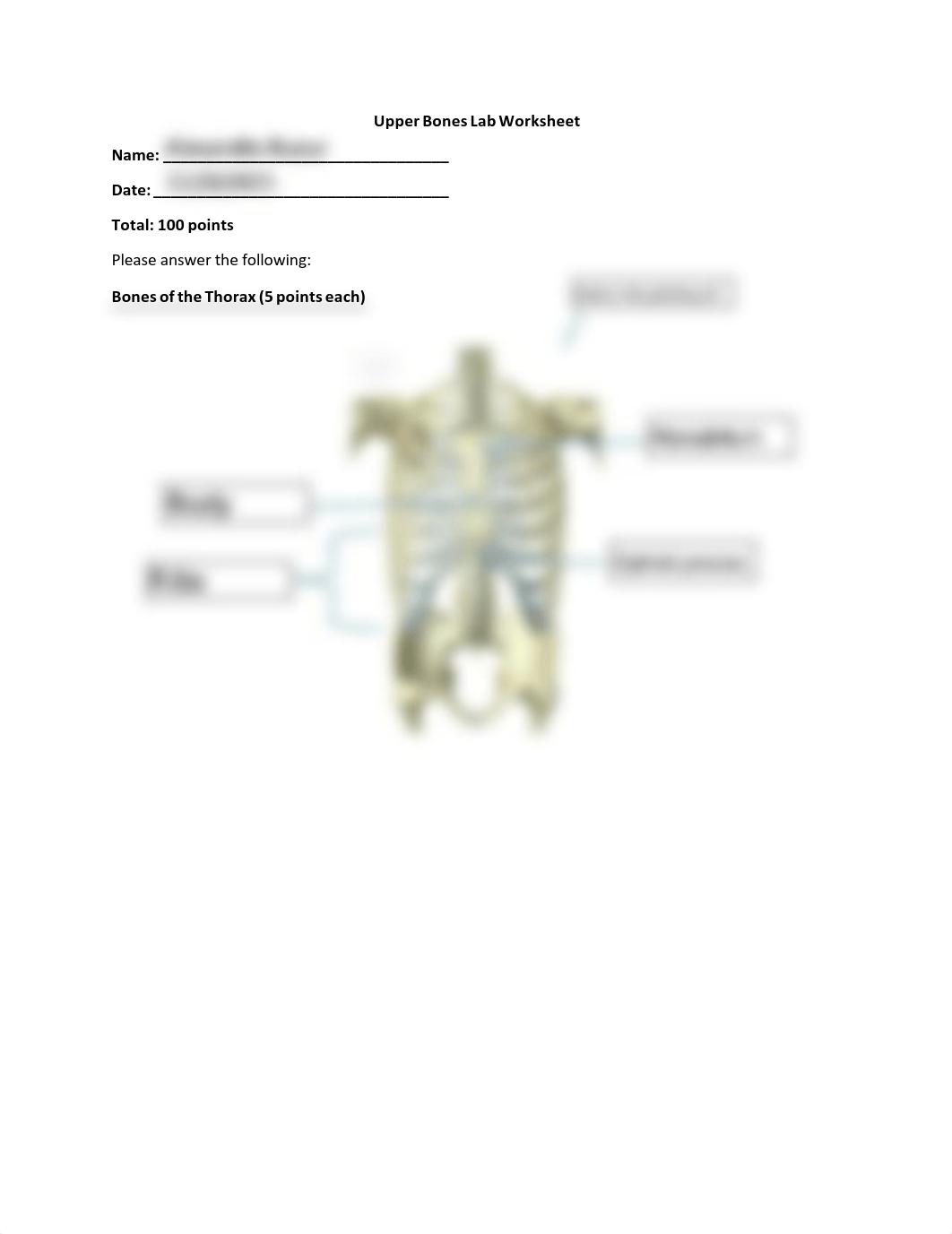 Upper+Bones+Worksheet.pdf_dbvyguq823m_page1